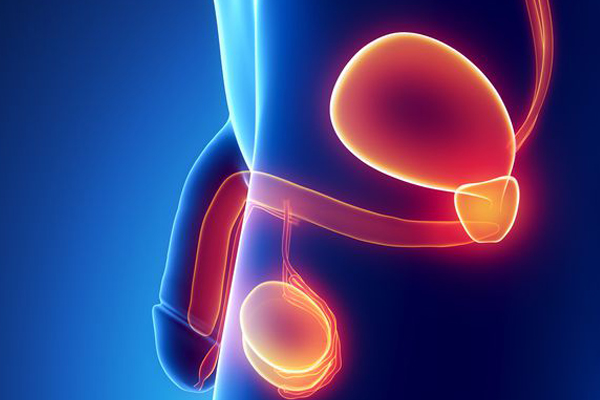 prostatitis2.jpg