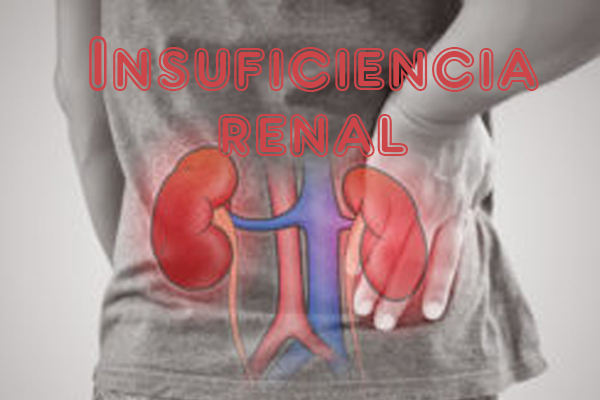 insuficienciarenal2.jpg