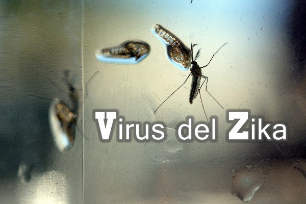 3zika.jpg